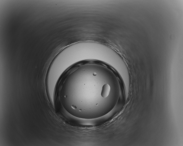 X0000089710099200706281519