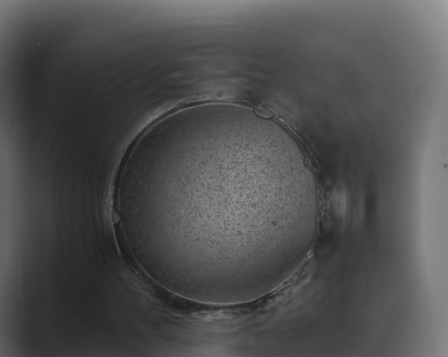 X0000089710100200706281519