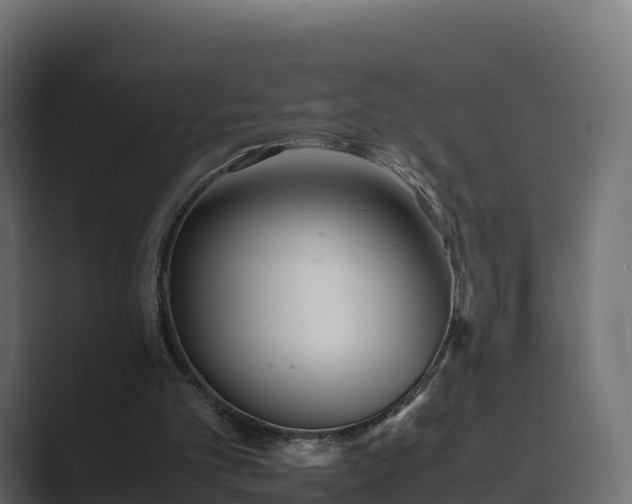 X0000089710101200706281519