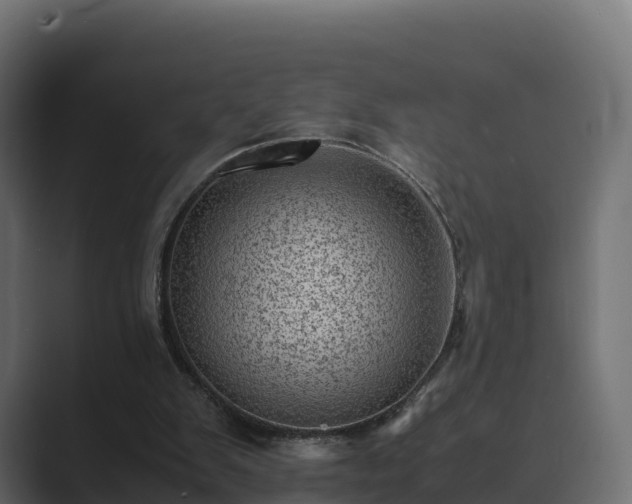 X0000089710103200706281519