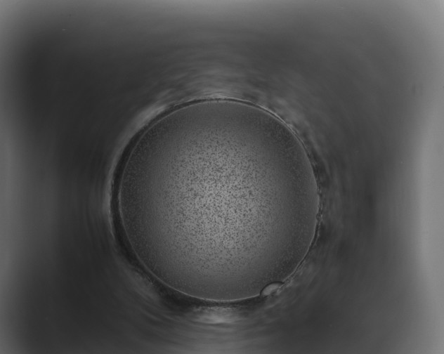 X0000089710104200706281519