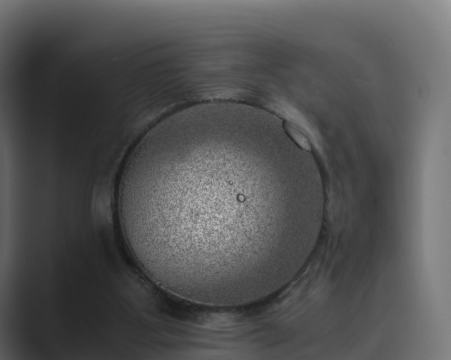 X0000089710107200706281519