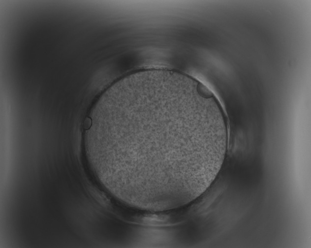 X0000089710109200706281519