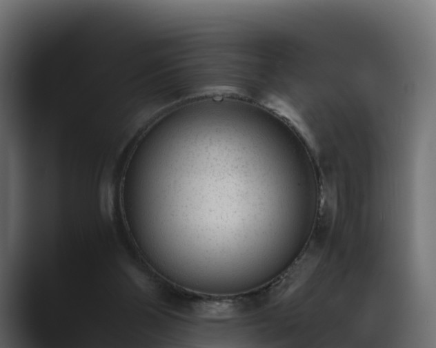 X0000089710110200706281519