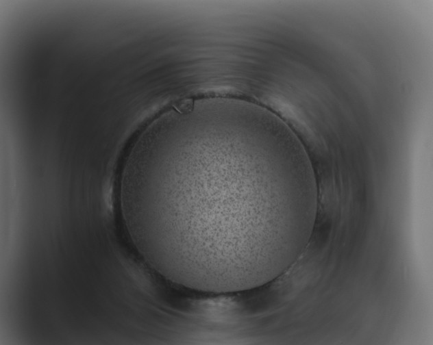 X0000089710112200706281519