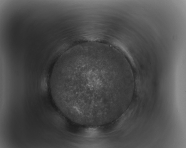 X0000089710114200706281519