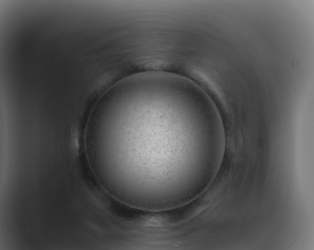 X0000089710115200706281519