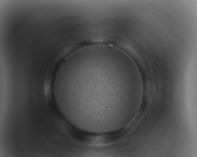 X0000089710116200706281519