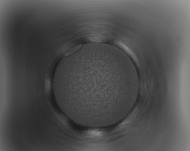 X0000089710117200706281519