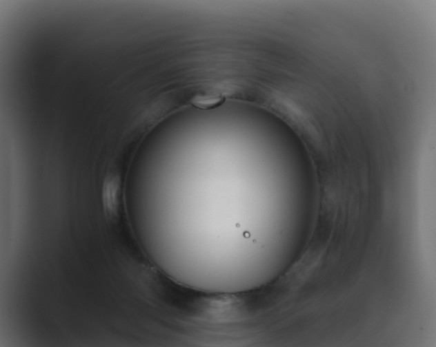 X0000089710118200706281519