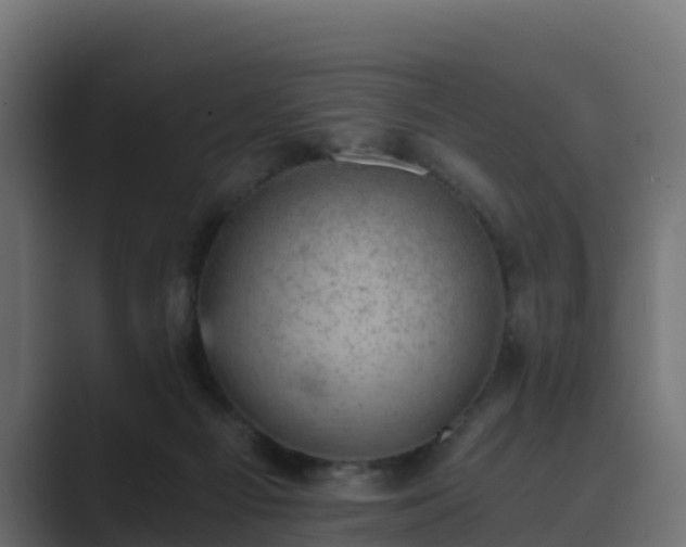 X0000089710121200706281519