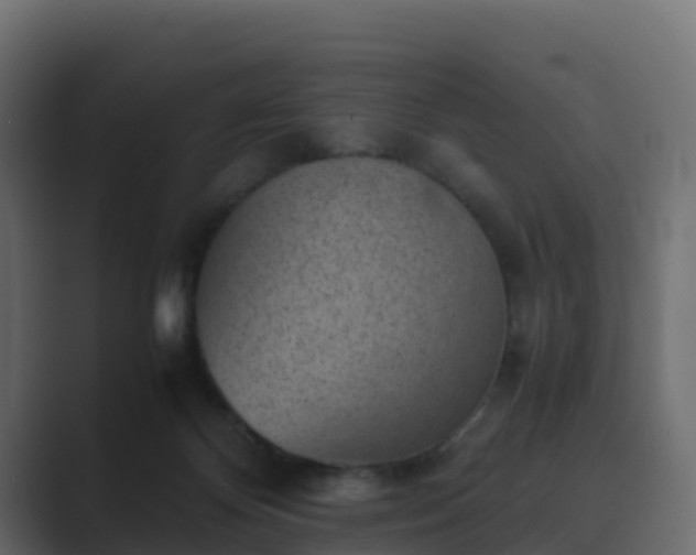 X0000089710124200706281519