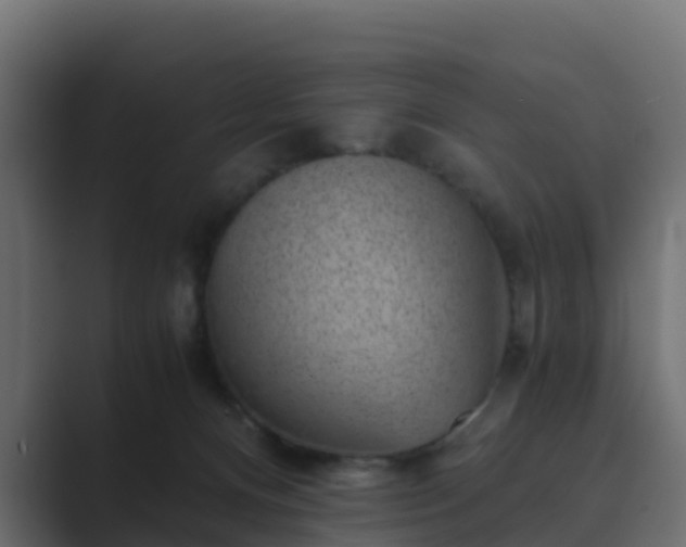 X0000089710128200706281519