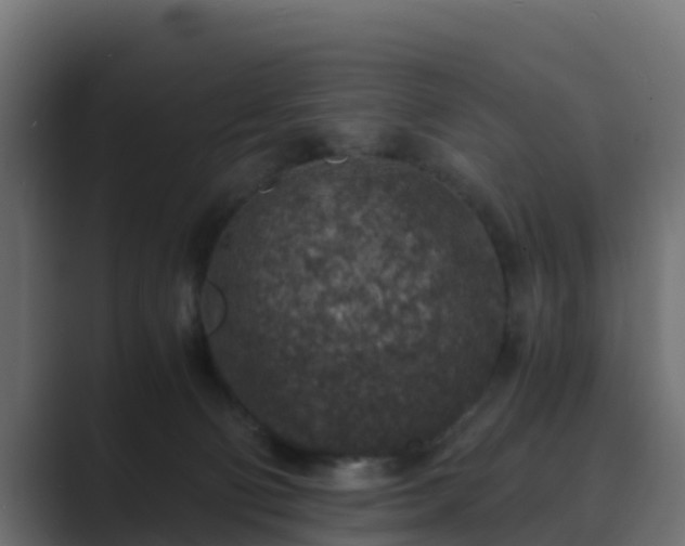 X0000089710130200706281519