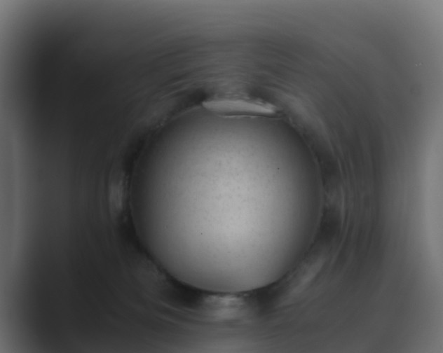 X0000089710133200706281519