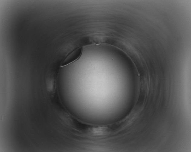 X0000089710134200706281519