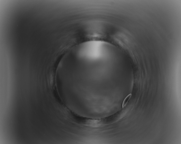 X0000089710139200706281519