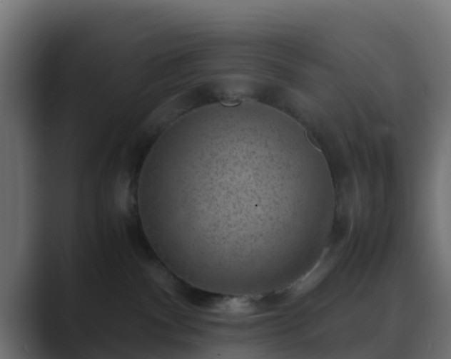 X0000089710140200706281519