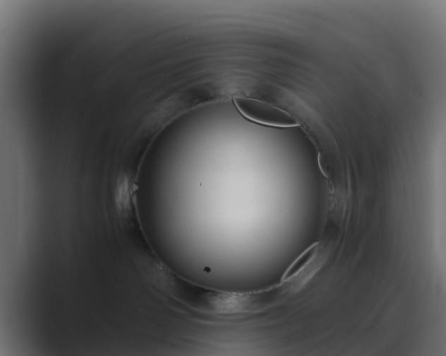 X0000089710142200706281519