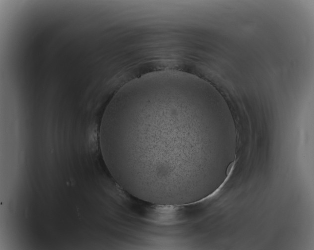 X0000089710144200706281519