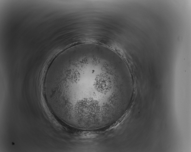 X0000089710145200706281518