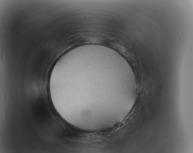 X0000089710146200706281518