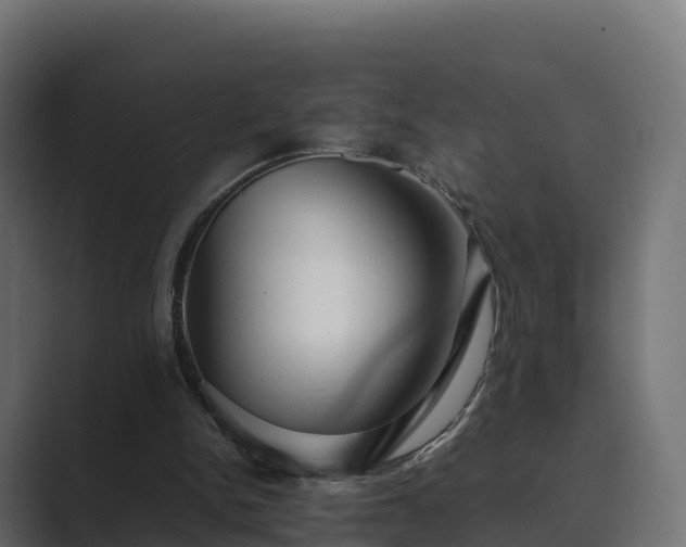 X0000089710150200706281518