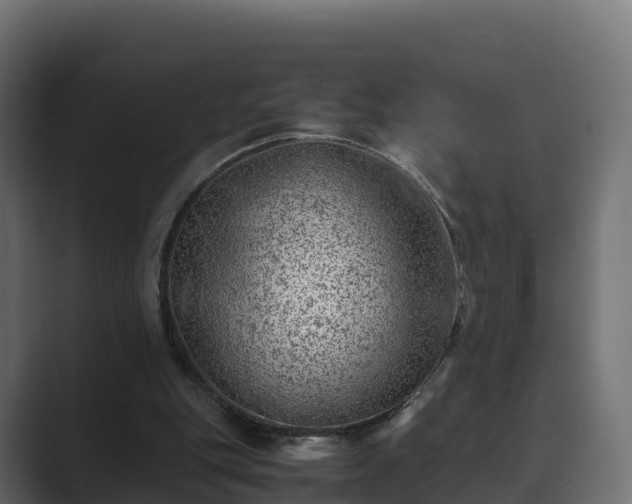 X0000089710151200706281518