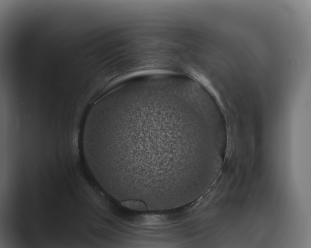 X0000089710154200706281518