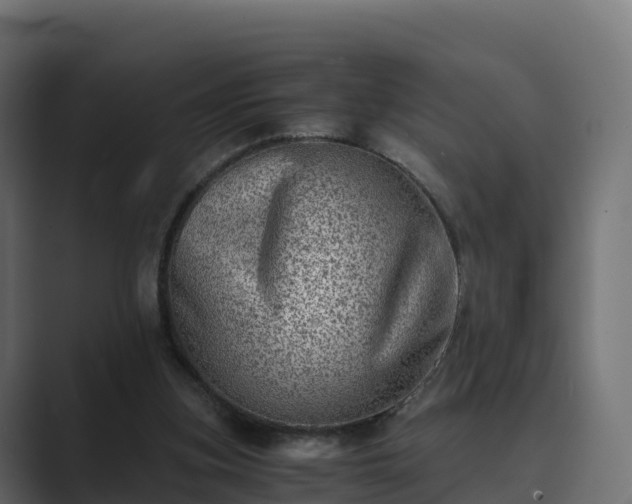 X0000089710155200706281518