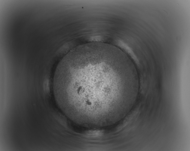 X0000089710161200706281518