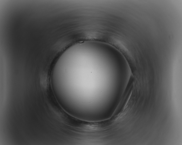 X0000089710164200706281519