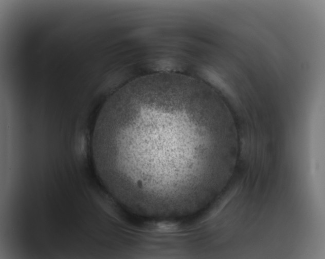 X0000089710165200706281519