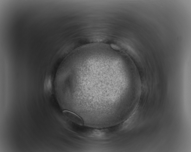 X0000089710166200706281519