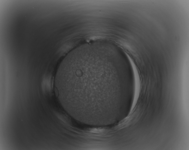 X0000089710168200706281519