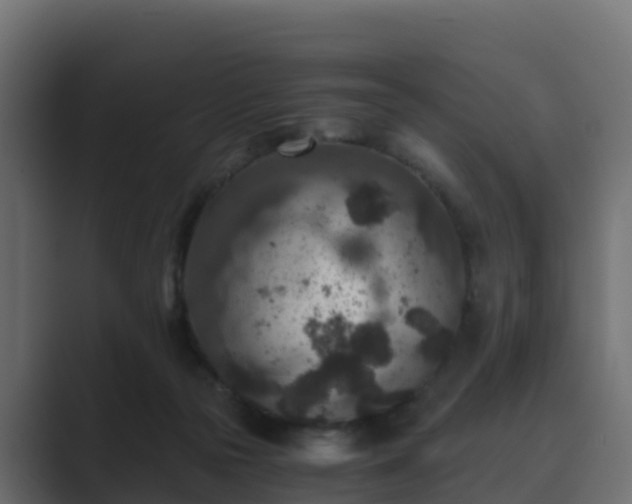 X0000089710169200706281519