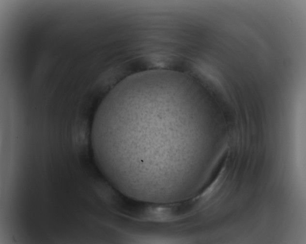 X0000089710174200706281519