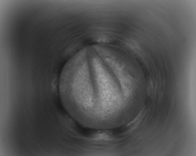 X0000089710175200706281519