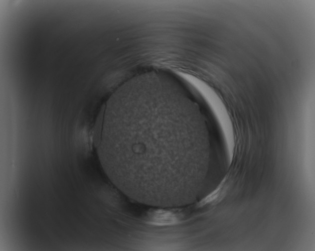 X0000089710180200706281519