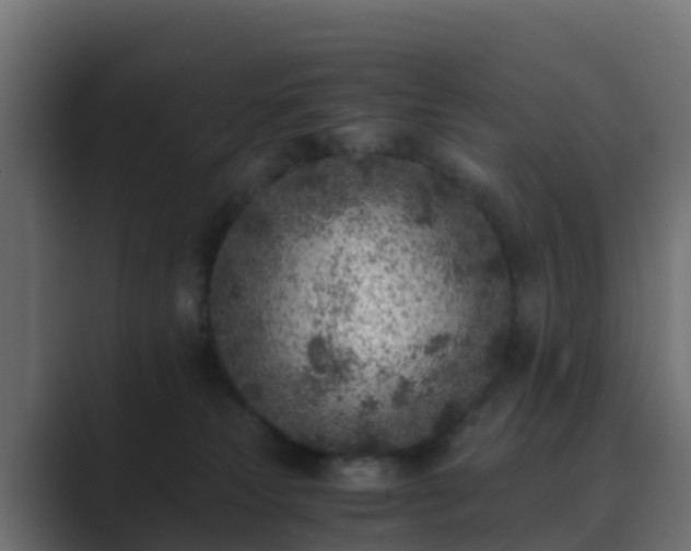 X0000089710181200706281519