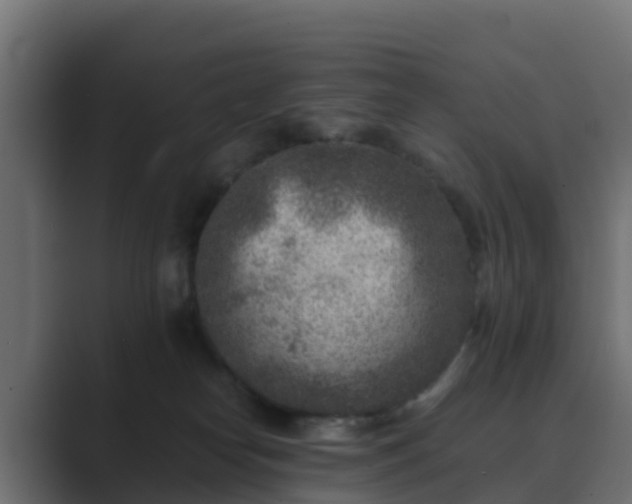 X0000089710182200706281519