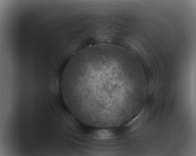 X0000089710183200706281519