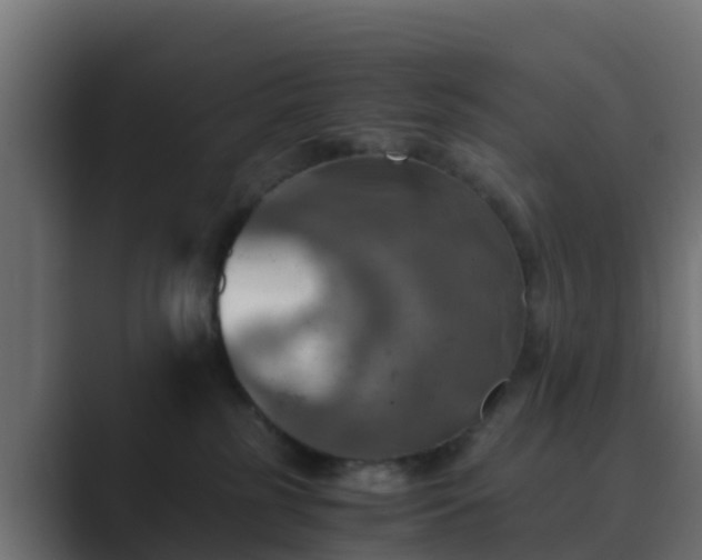 X0000089710185200706281519