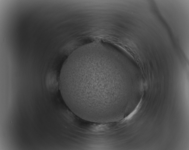 X0000089710186200706281519