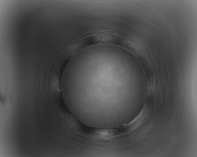 X0000089710187200706281519