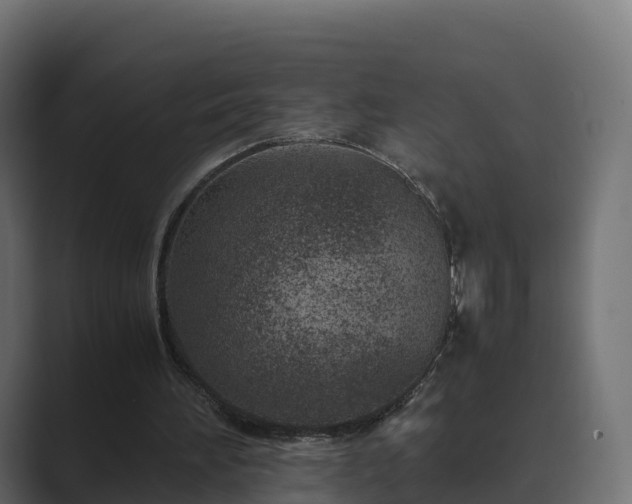 X0000089710196200706281518