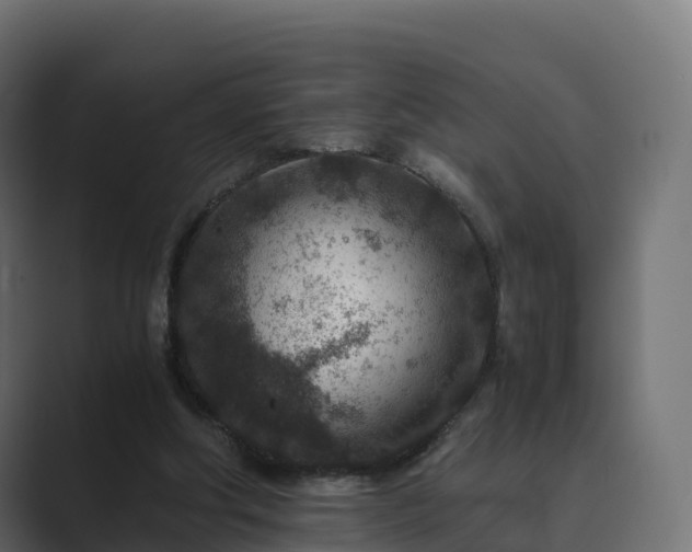 X0000089710202200706281518