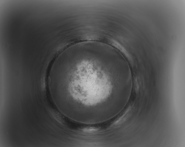 X0000089710203200706281518