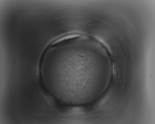 X0000089710204200706281518