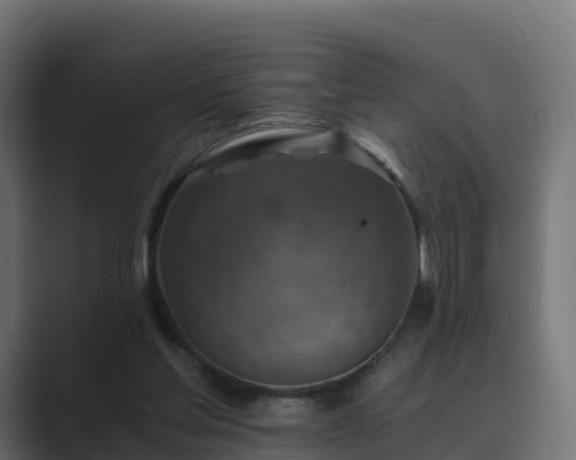 X0000089710205200706281518